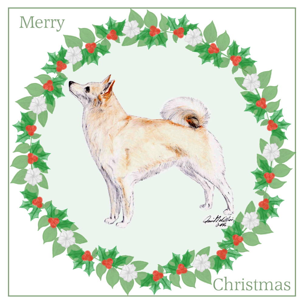 Norwegian Buhund Christmas Card Choice of 3 Card Designs Single or Multi Pack