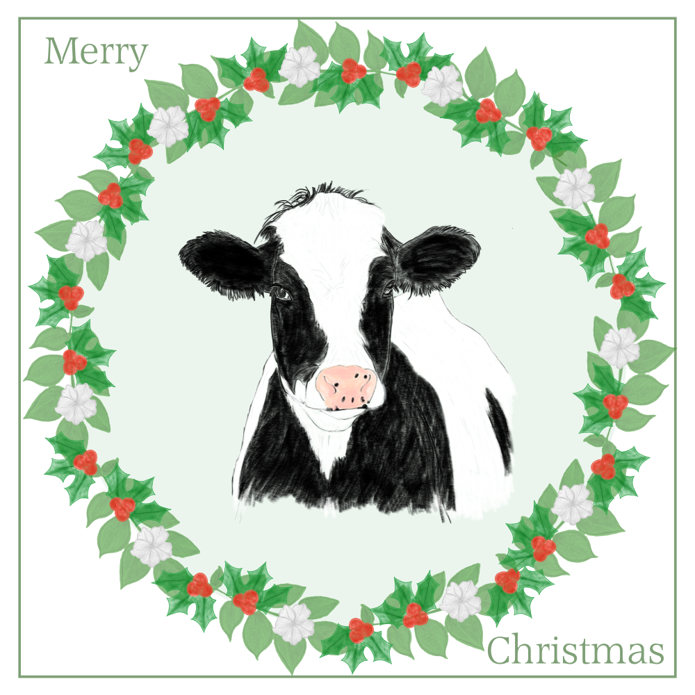 Cow Christmas Card Choice of 3 Card Designs Single or Multi Pack