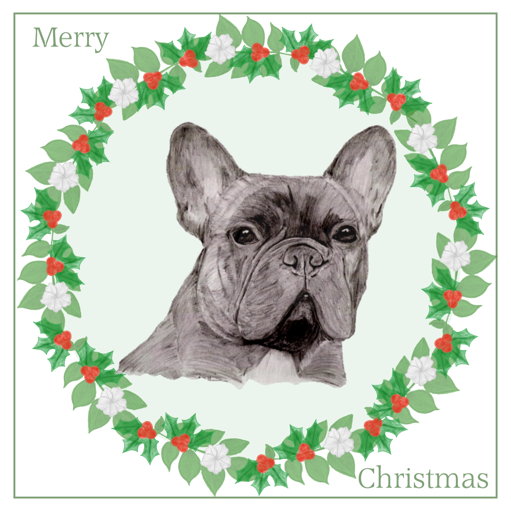French Bulldog (A) Christmas Card Choice of 3 Card Designs Single or Multi Pack