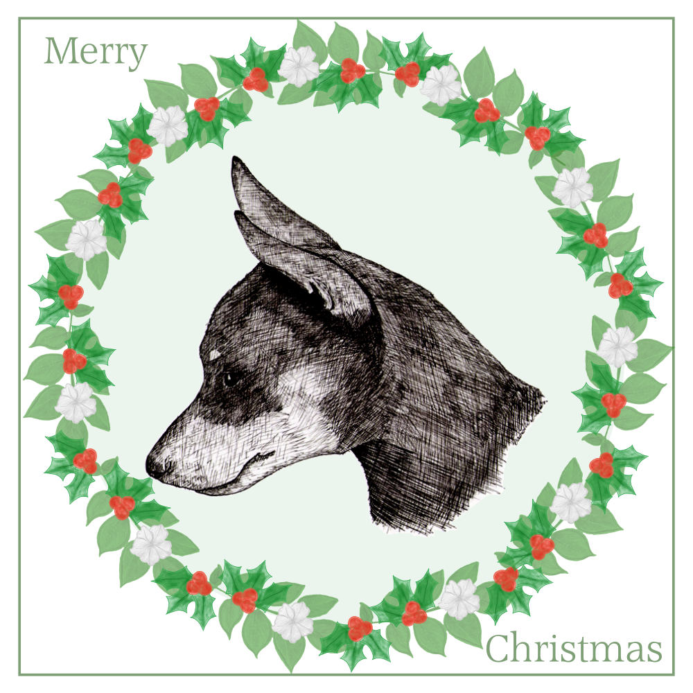 Miniature Pinscher Christmas Card Choice of 3 Card Designs Single or Multi Pack