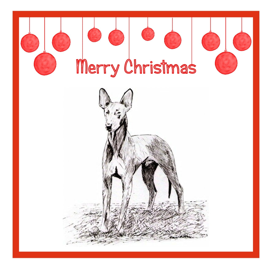 Pharaoh Hound Christmas Cards Pack of 6