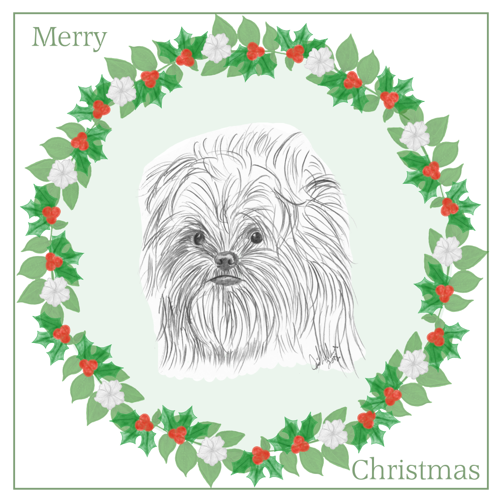 Affenpinscher Christmas Card Choice of 3 Card Designs Single or Multi Pack