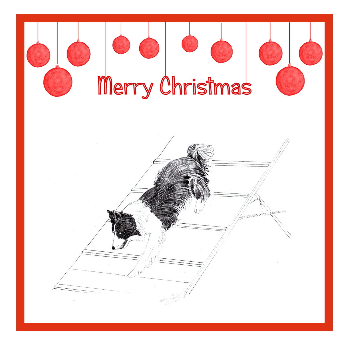 Agility Dog Christmas Cards Pack of 6
