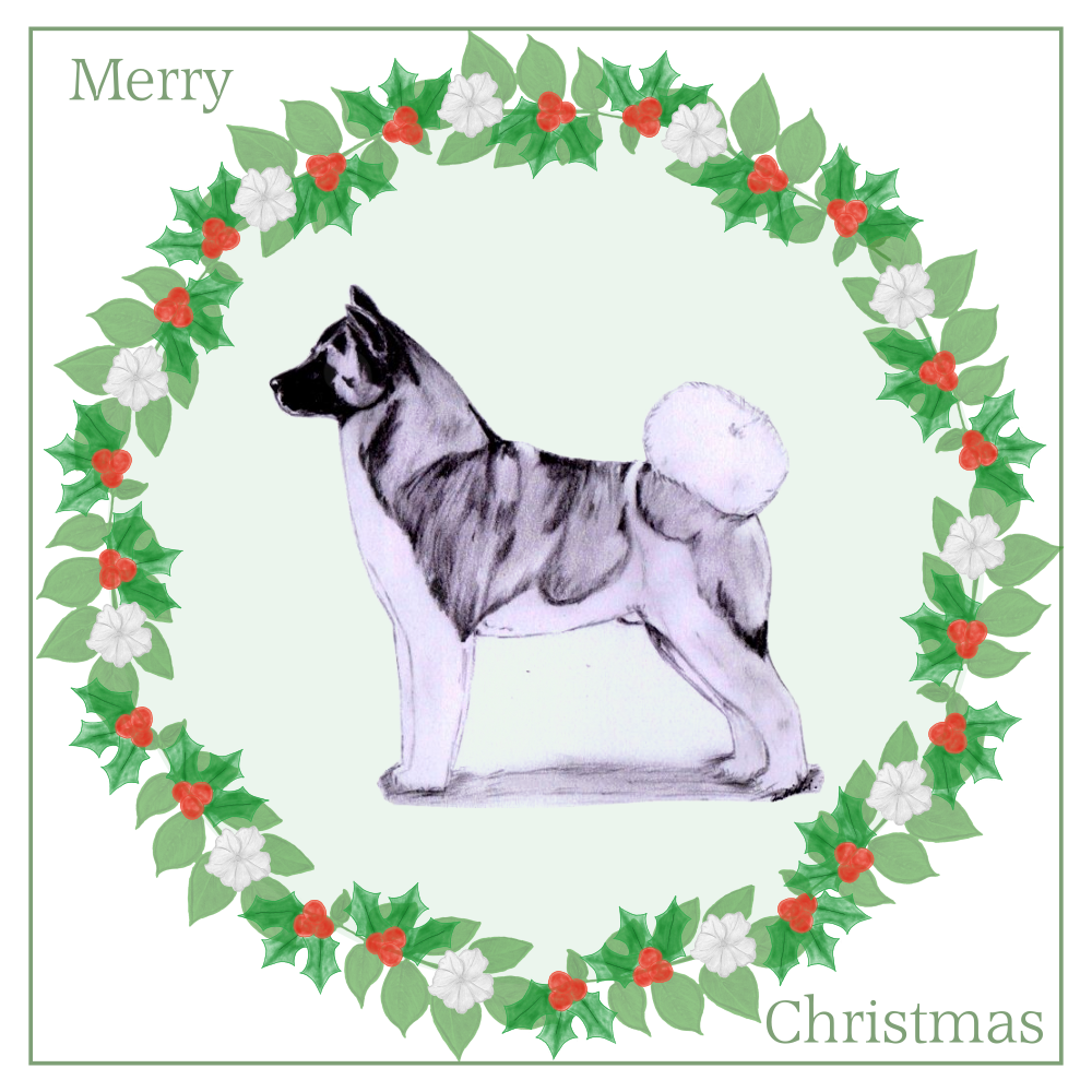 Akita Christmas Card Choice of 3 Card Designs Single or Multi Pack