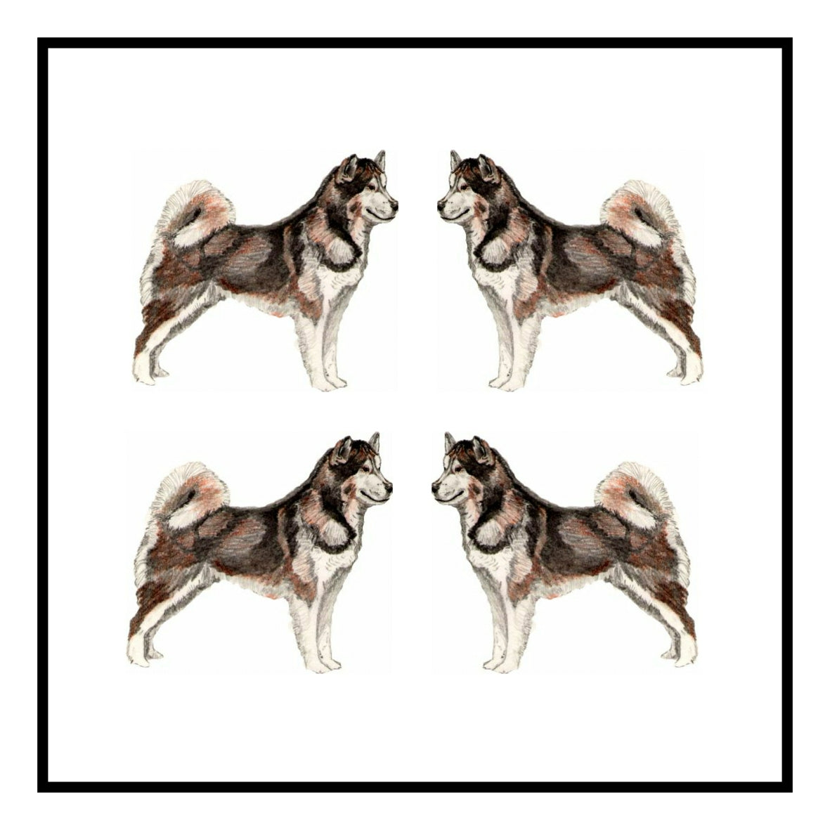 Alaskan Malamute Greeting Card Choice of 6 Designs BIRTHDAY, THINKING OF YOU, BLANK