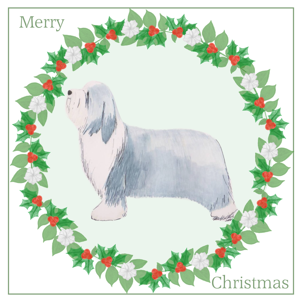 Bearded Collie Christmas Card Choice of 3 Card Designs Single or Multi Pack