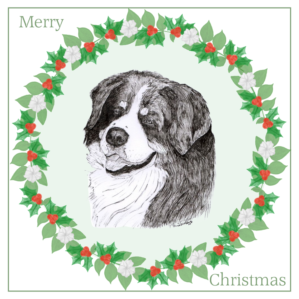 Bernese Mountain Dog Christmas Card Choice of 3 Card Designs Single or Multi Pack