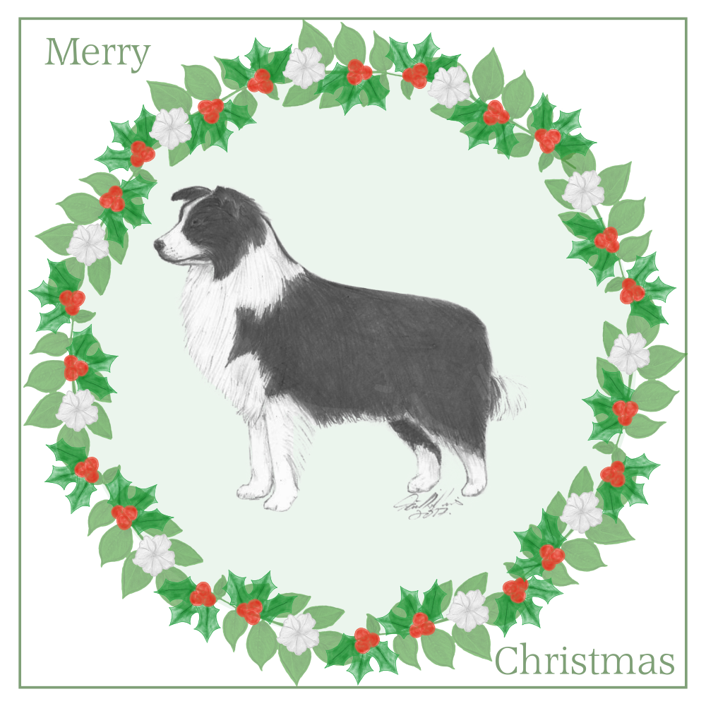 Border Collie Christmas Card Choice of 3 Card Designs Single or Multi Pack