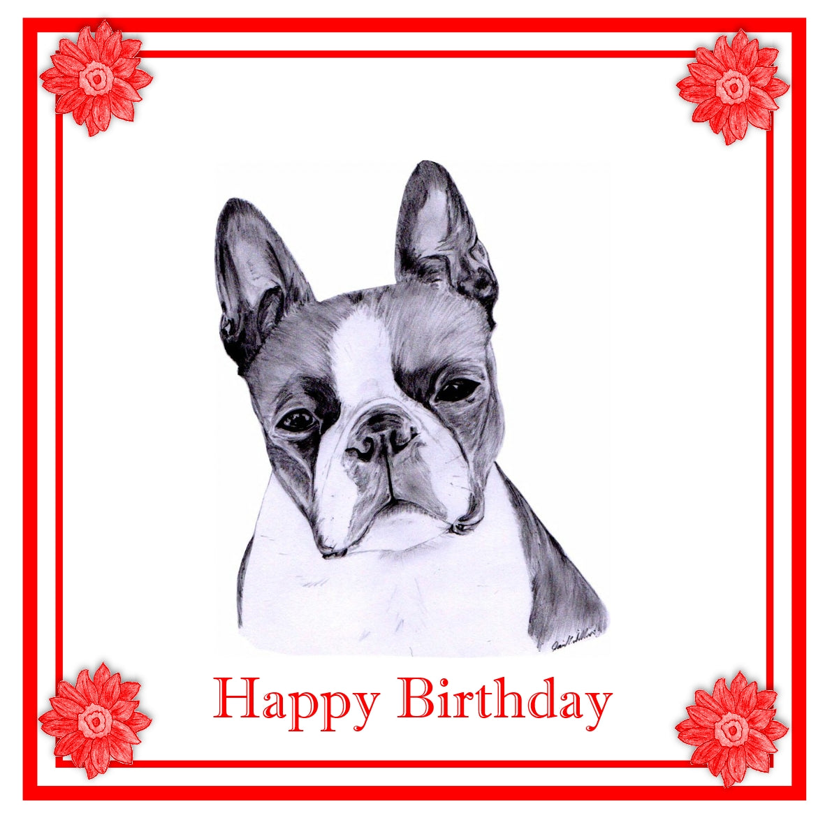 Boston Terrier Greeting Card Choice of 6 Designs BIRTHDAY, THINKING OF YOU, BLANK