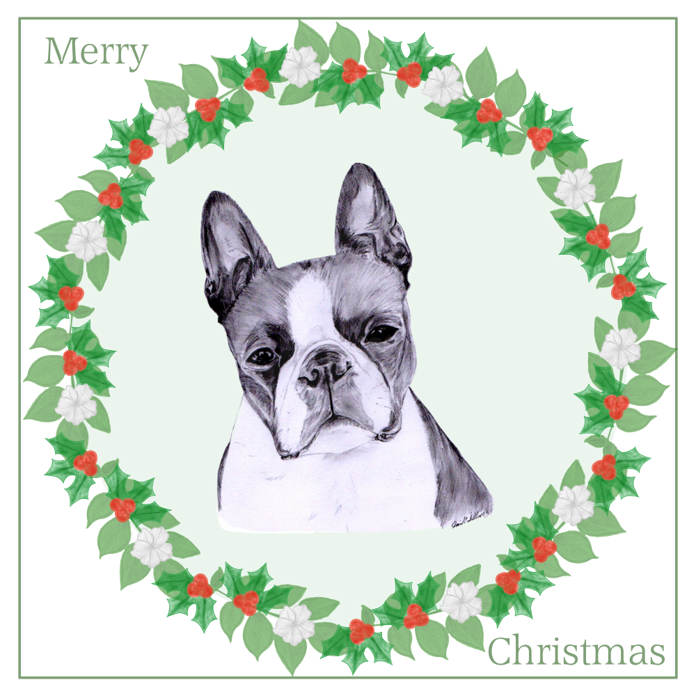 Boston Terrier Christmas Card Choice of 3 Card Designs Single or Multi Pack