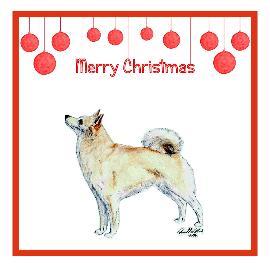 Norwegian Buhund Christmas Cards Pack of 6