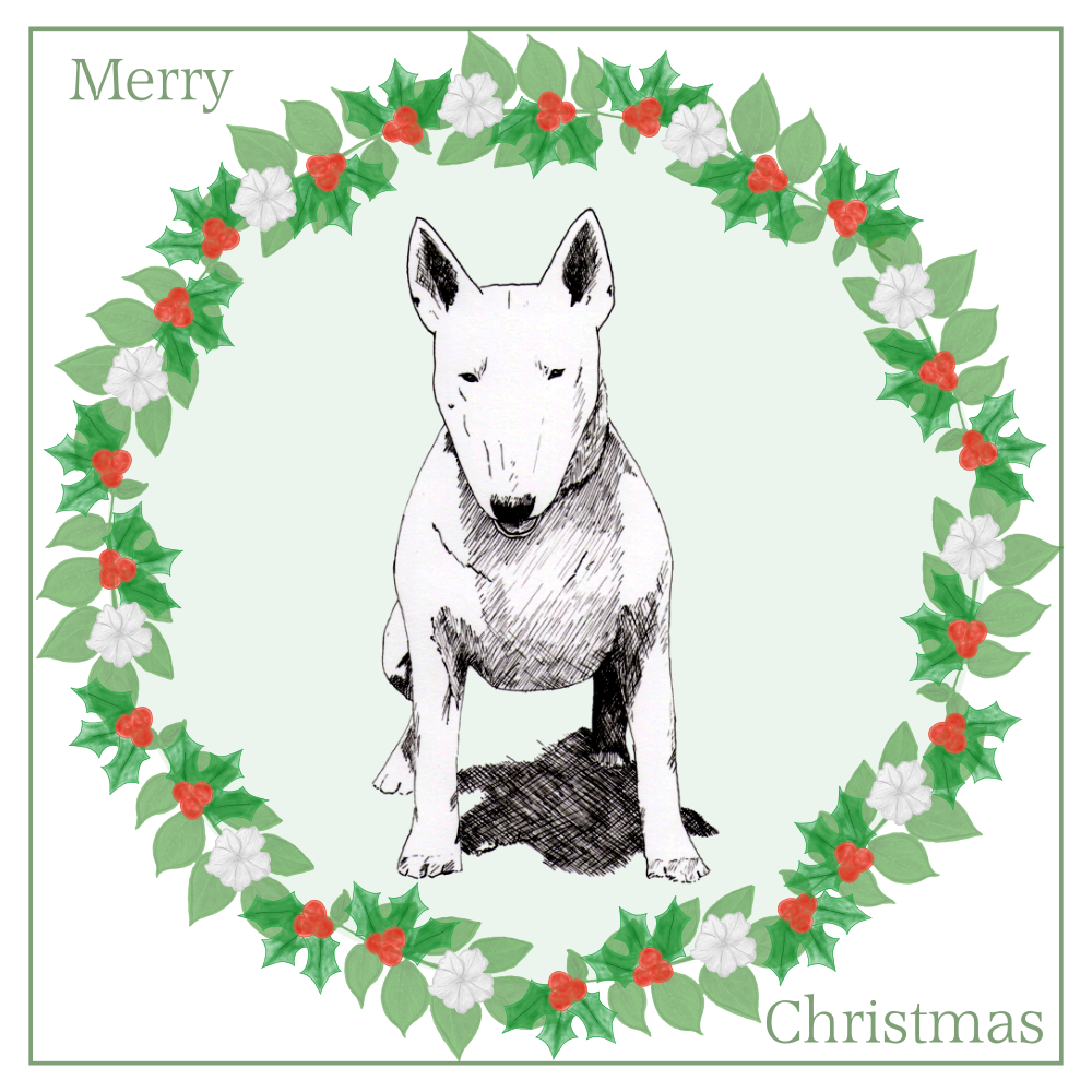 Bull Terrier Christmas Card Choice of 3 Card Designs Single or Multi Pack