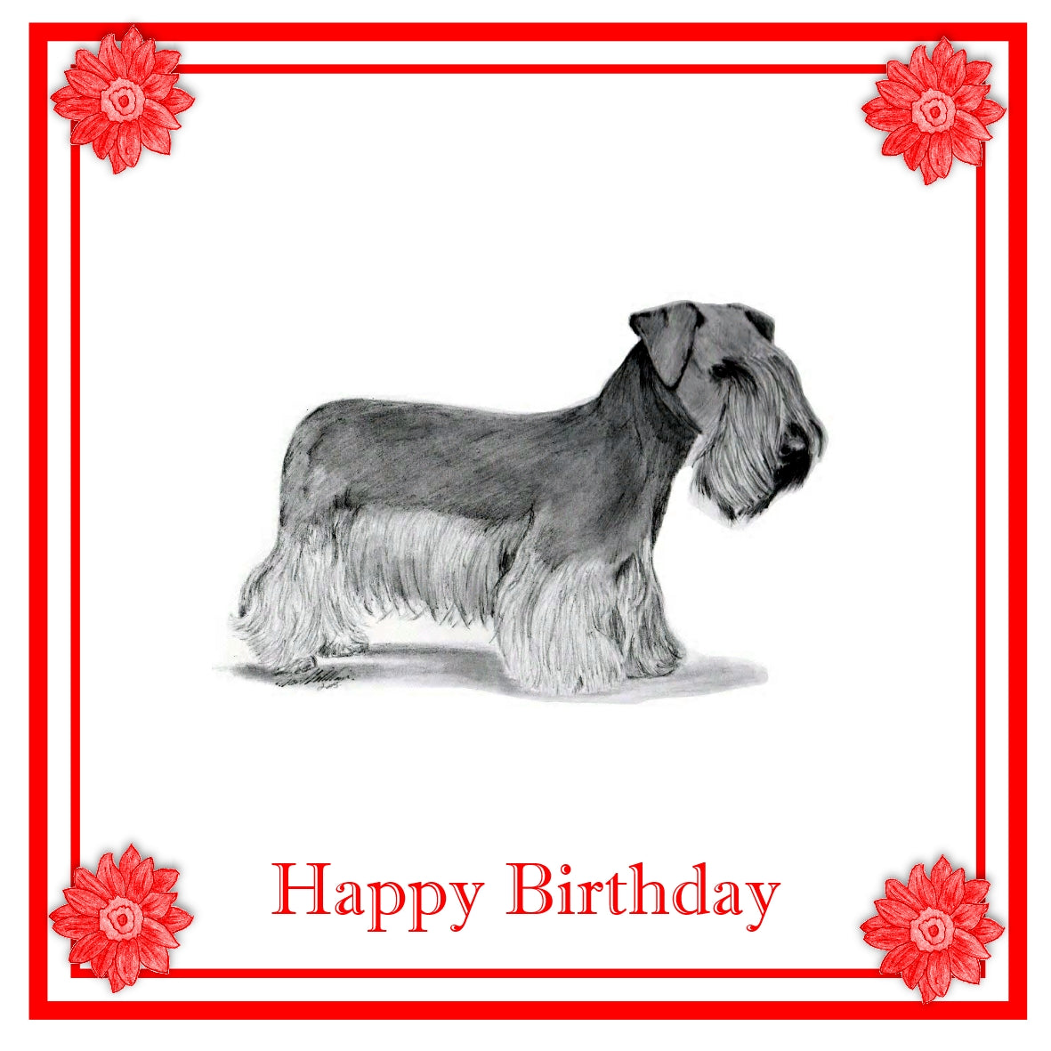 Cesky Terrier Greeting Card Choice of 6 Designs BIRTHDAY, THINKING OF YOU, BLANK