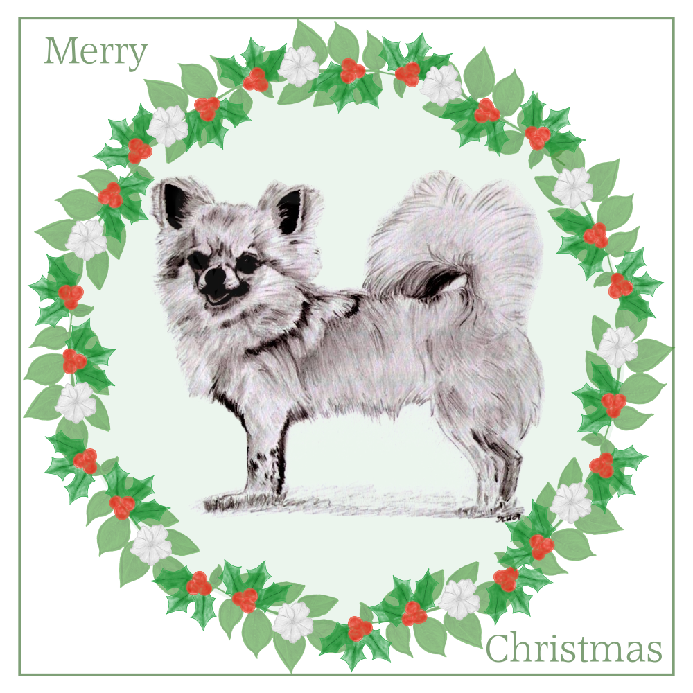 L/C Chihuahua Christmas Card Choice of 3 Card Designs Single or Multi Pack