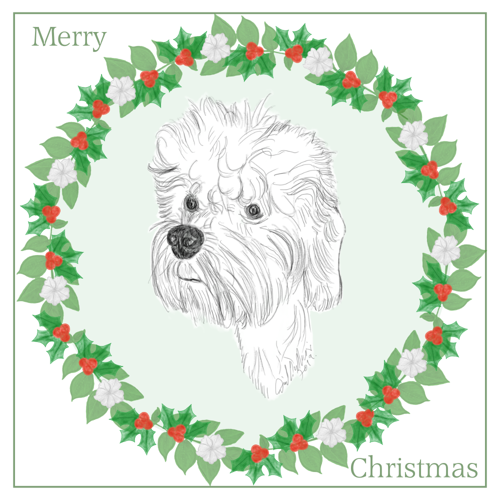 Dandie Dinmont Terrier Christmas Card Choice of 3 Card Designs Single or Multi Pack