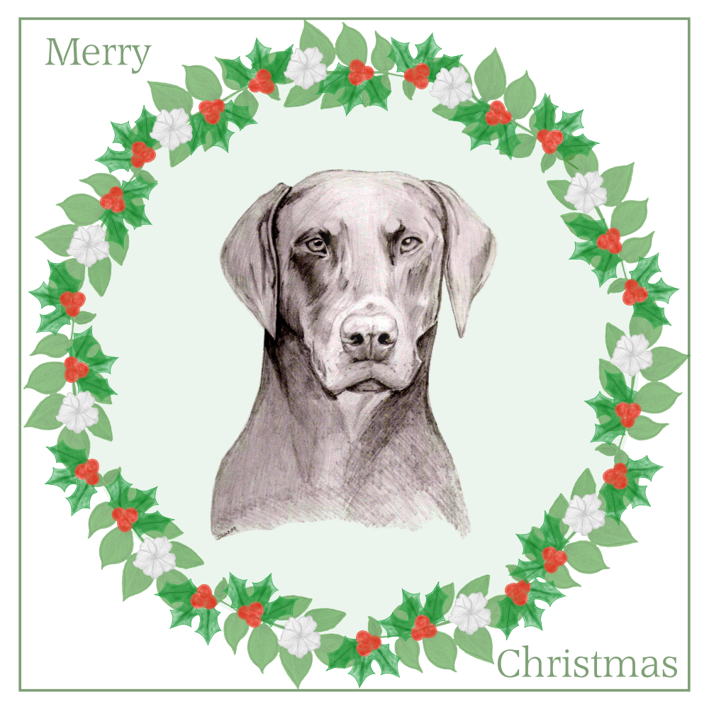 Doberman Christmas Card Choice of 3 Card Designs Single or Multi Pack