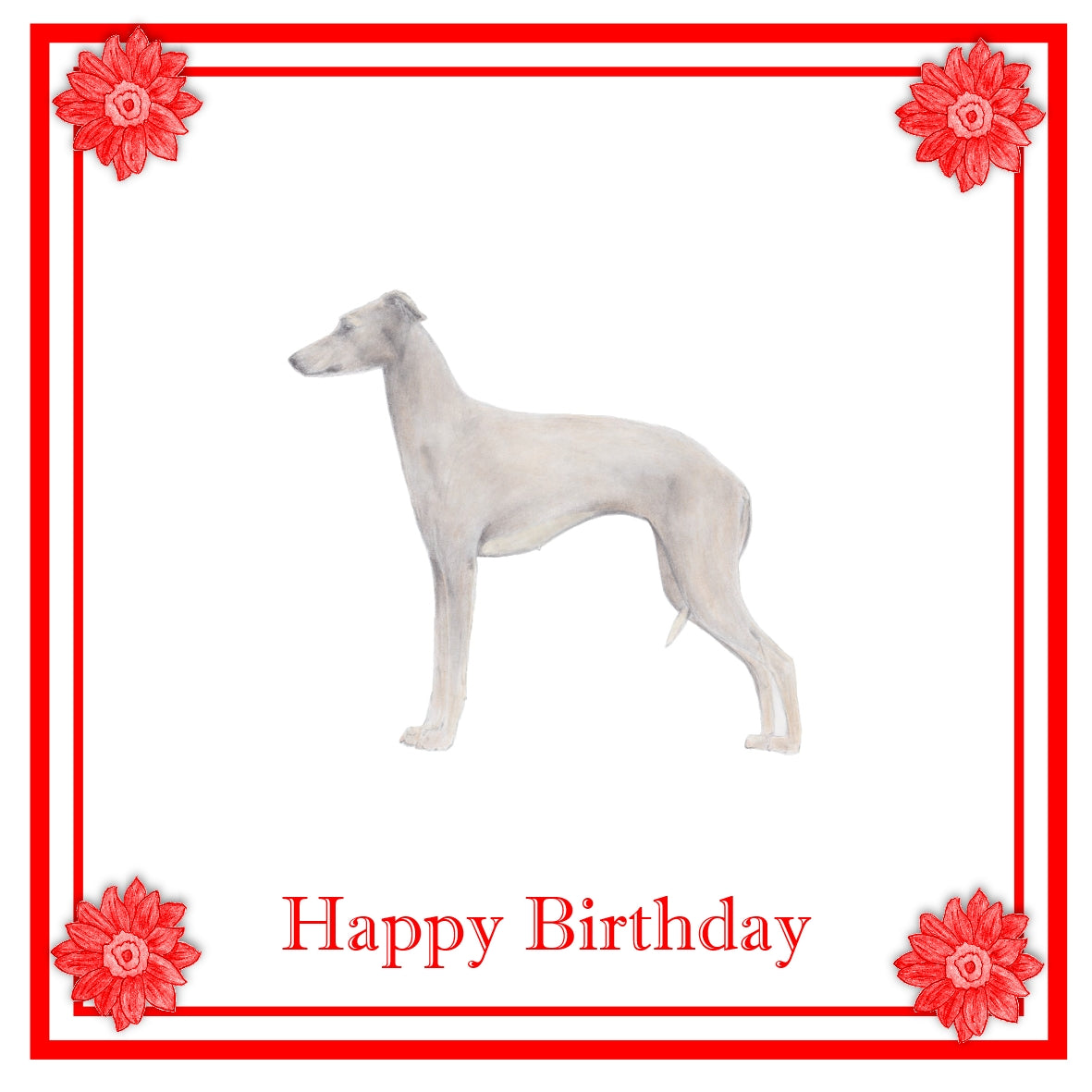 Italian Greyhound Greeting Card Choice of 6 Designs BIRTHDAY, THINKING OF YOU, BLANK