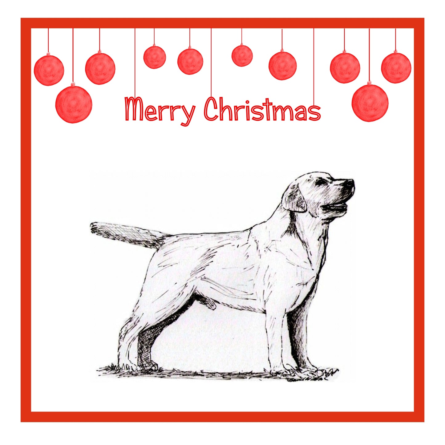 Labrador Retriever Christmas Cards Pack of 6