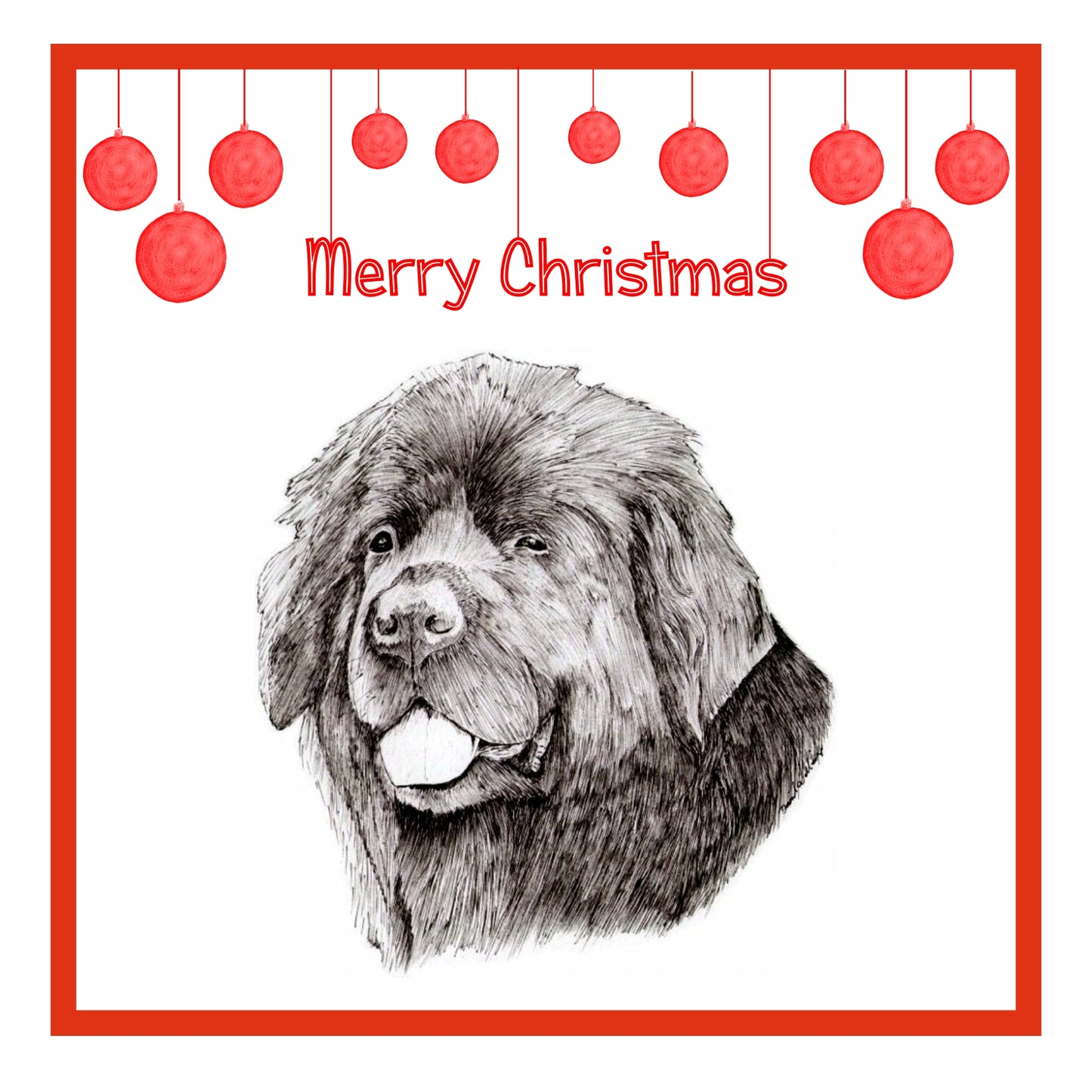 Newfoundland Christmas Cards Pack of 6