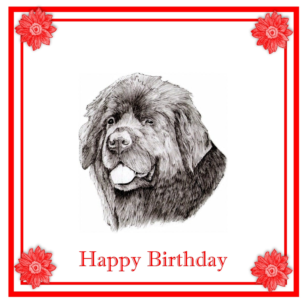 Newfoundland Greeting Card Choice of 6 Designs BIRTHDAY, THINKING OF YOU, BLANK