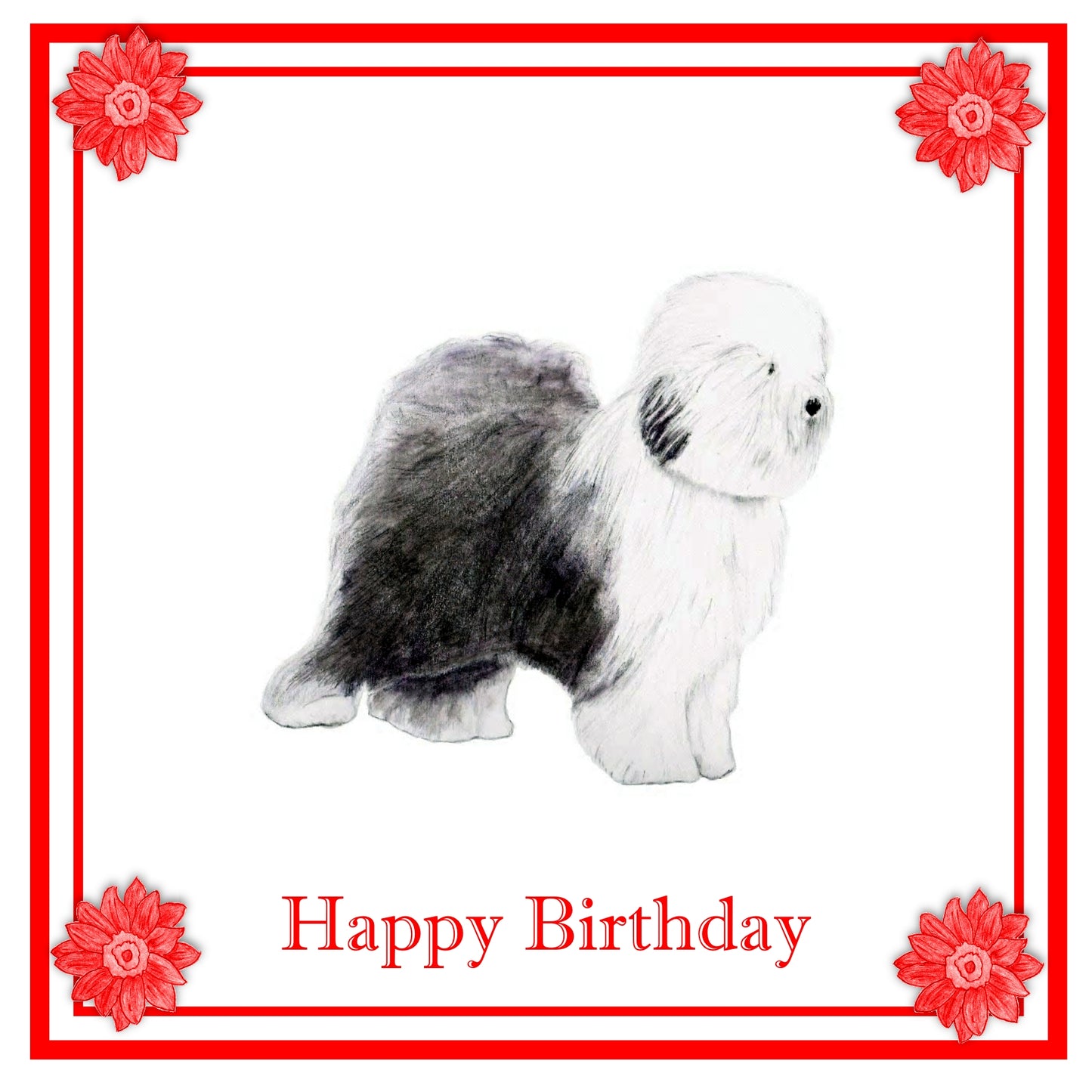 Old English Sheepdog Greeting Card Choice of 6 Designs BIRTHDAY, THINKING OF YOU, BLANK