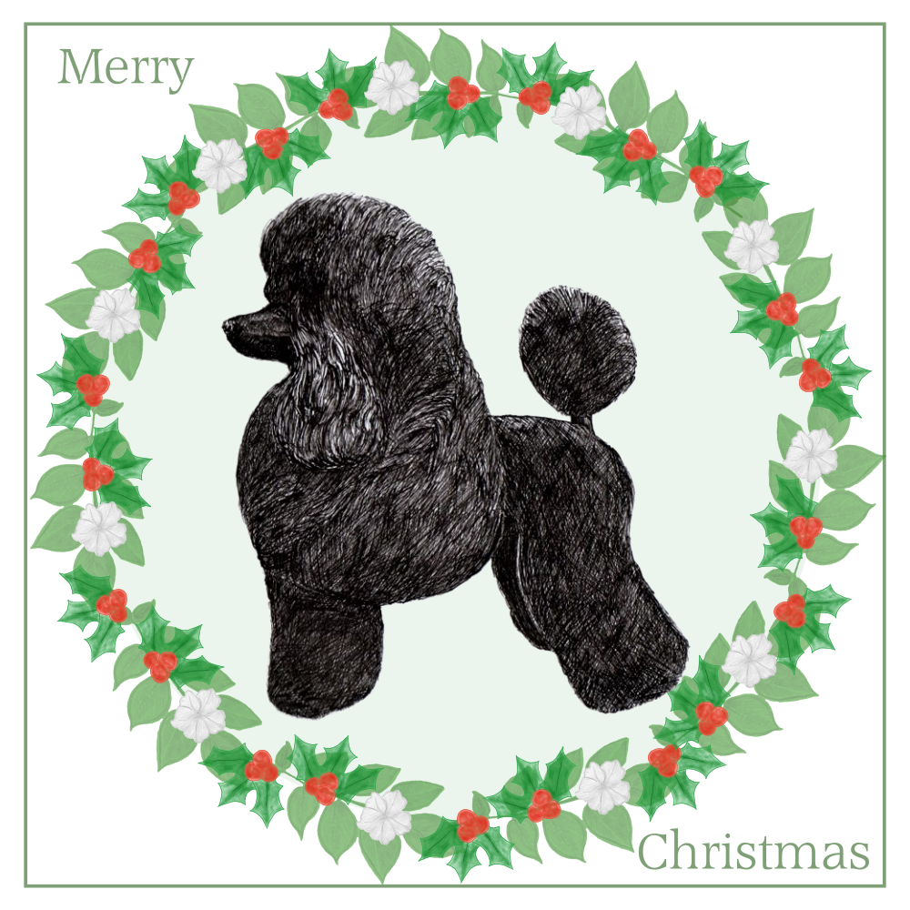 Poodle Christmas Card Choice of 3 Card Designs Single or Multi Pack