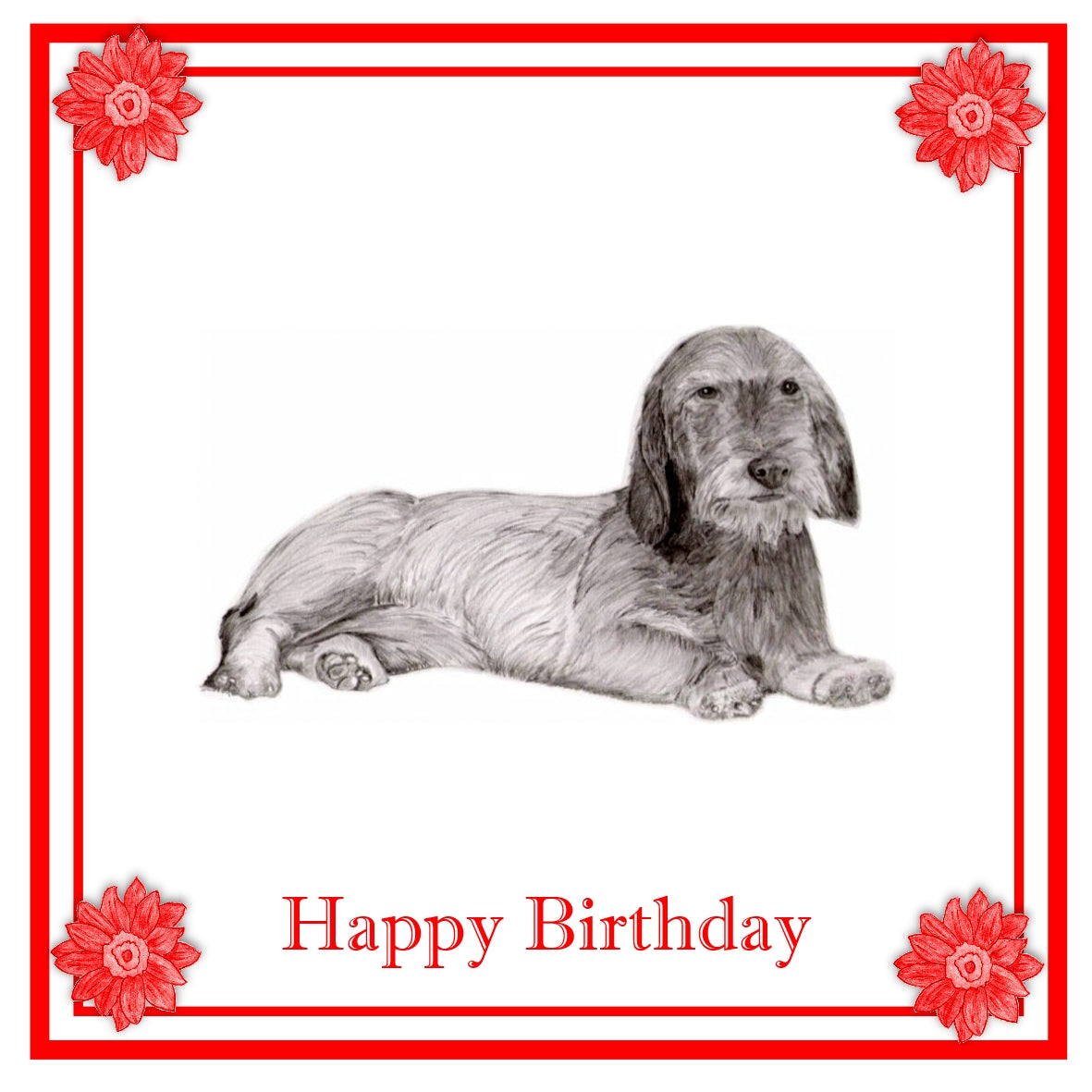 Dachshund Wired haired Greeting Card Choice of 6 Designs BIRTHDAY, THINKING OF YOU, BLANK