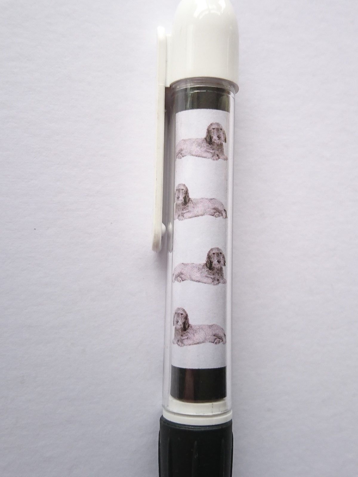 Wire Haired Dachshund Pen