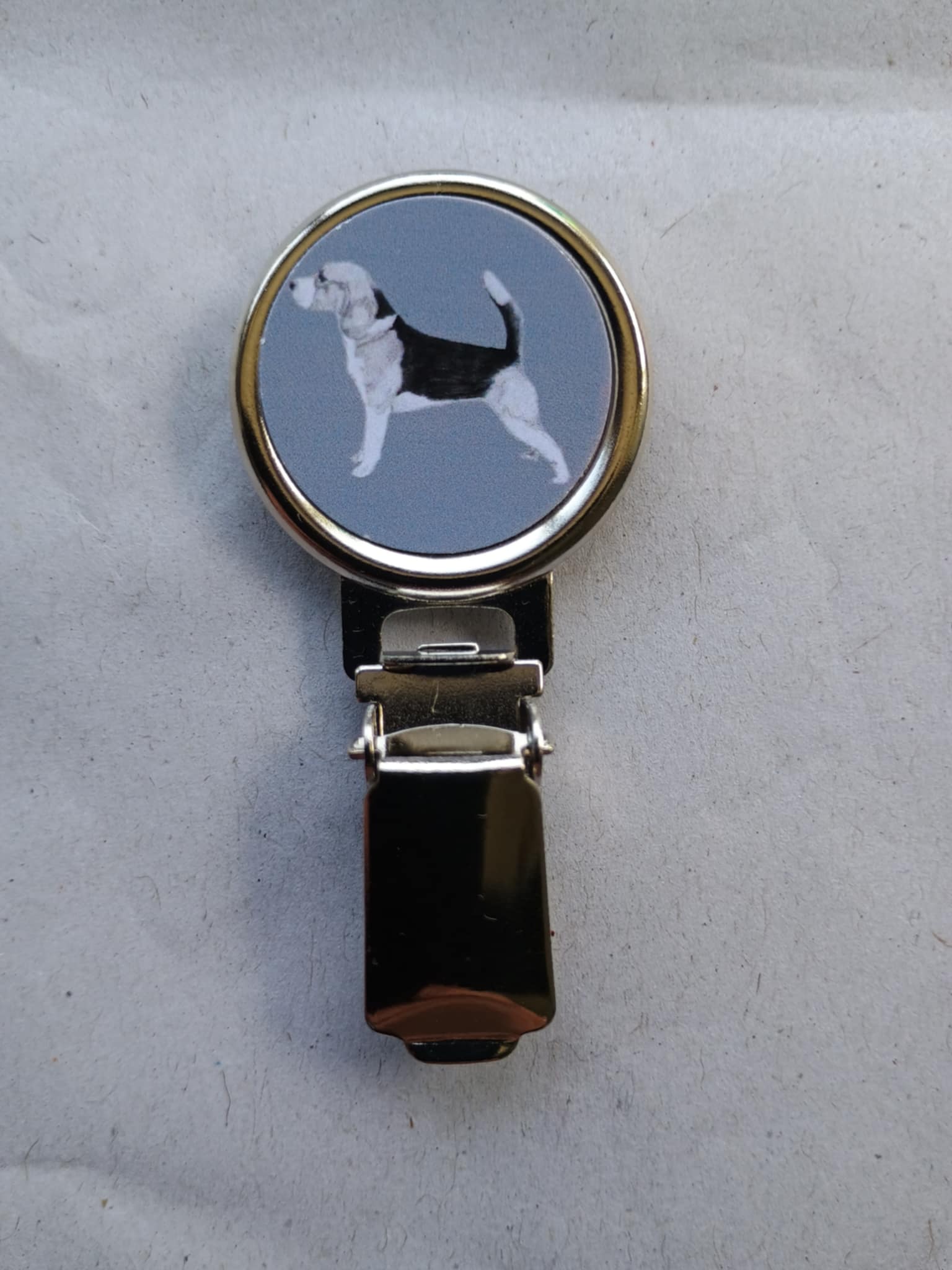 Beagle Dog Show Ring Clip