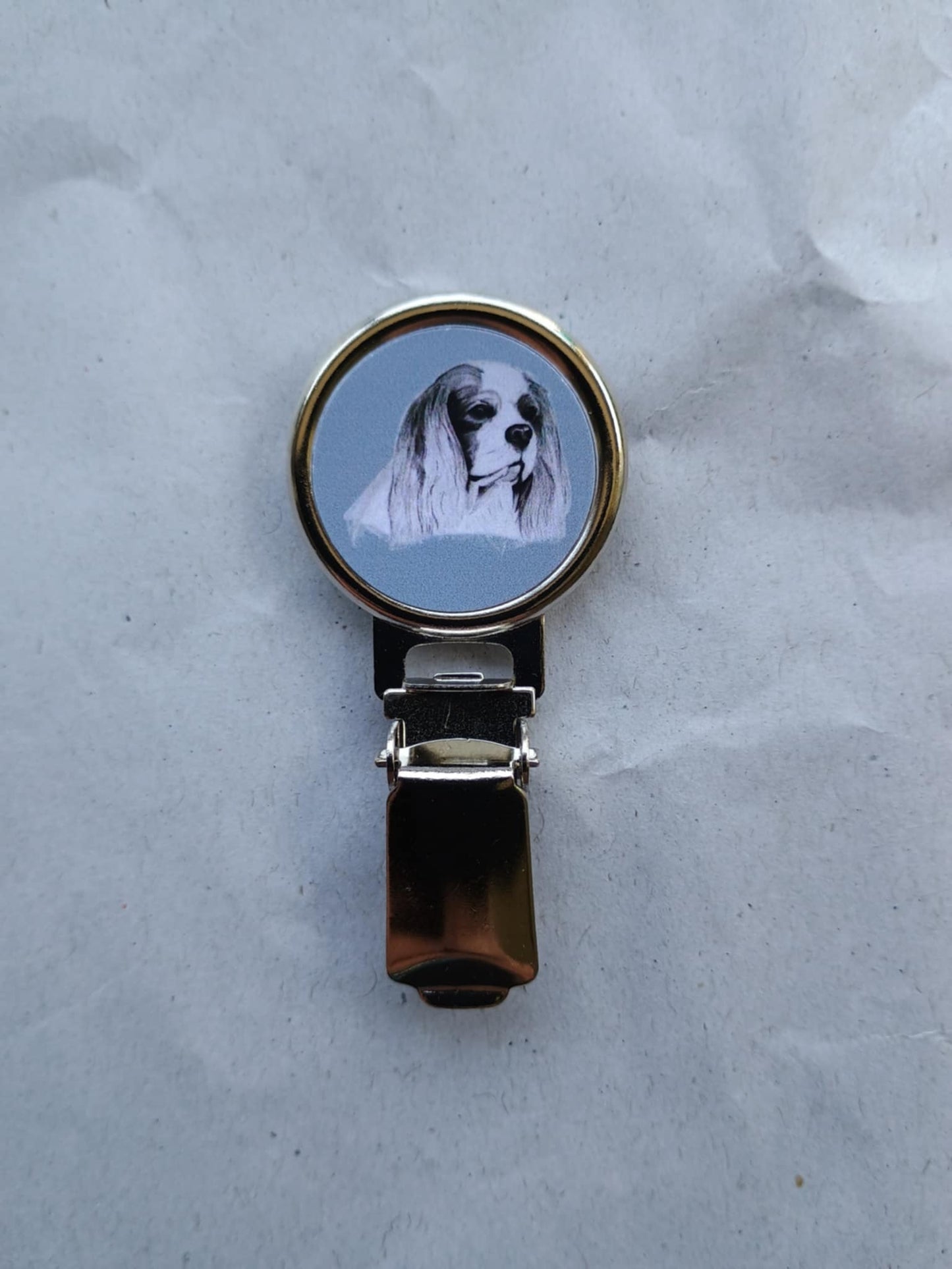 Cavalier King Charles Spaniel Dog Show Ring Clip