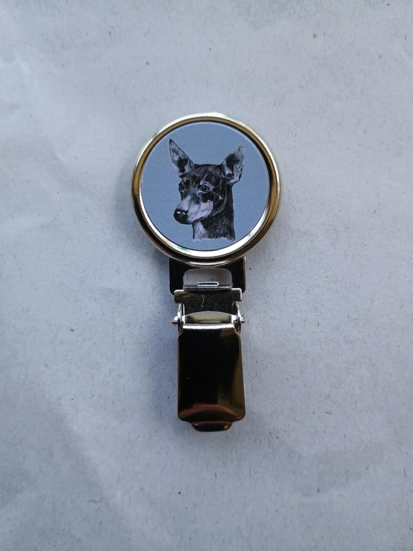 English Toy Terrier Dog Show Ring Clip