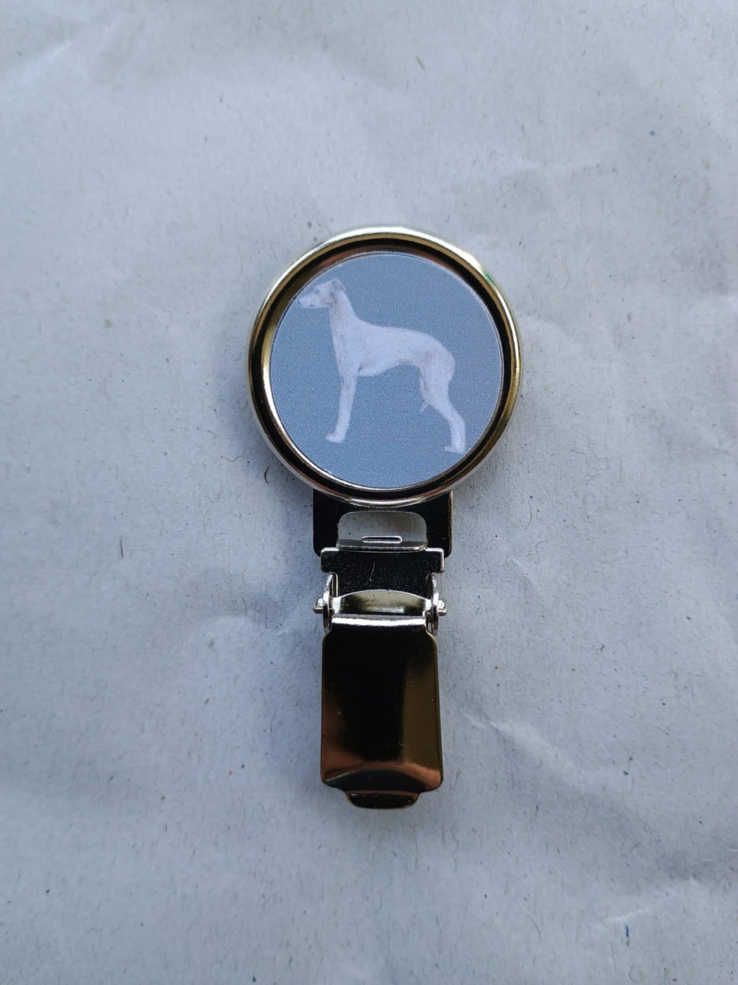 Italian Greyhound Dog Show Ring Clip