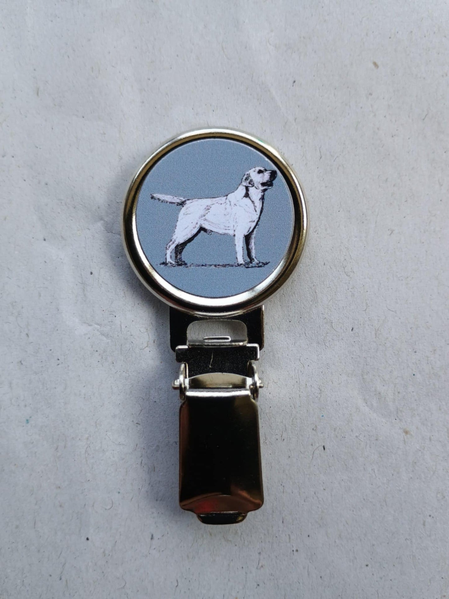 Labrador Retriever Dog Show Ring Clip