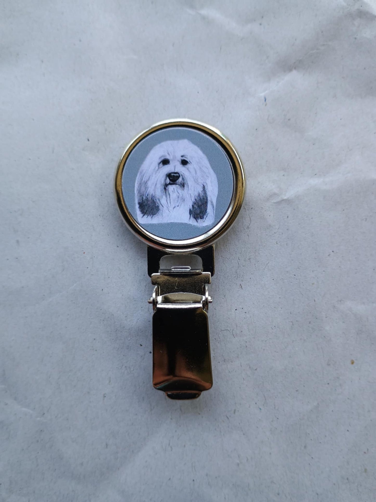 Lowchen Dog Show Ring Clip