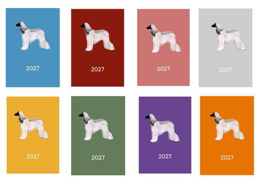 Afghan Hound 2027 Week Per View Diary: A4, A5 or A6, Dog Show, Normal or Appointment