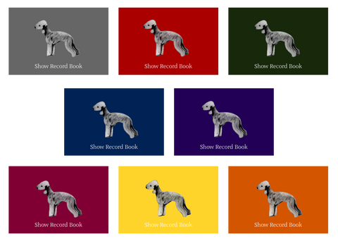 Bedlington Terrier Dog Show Record Book