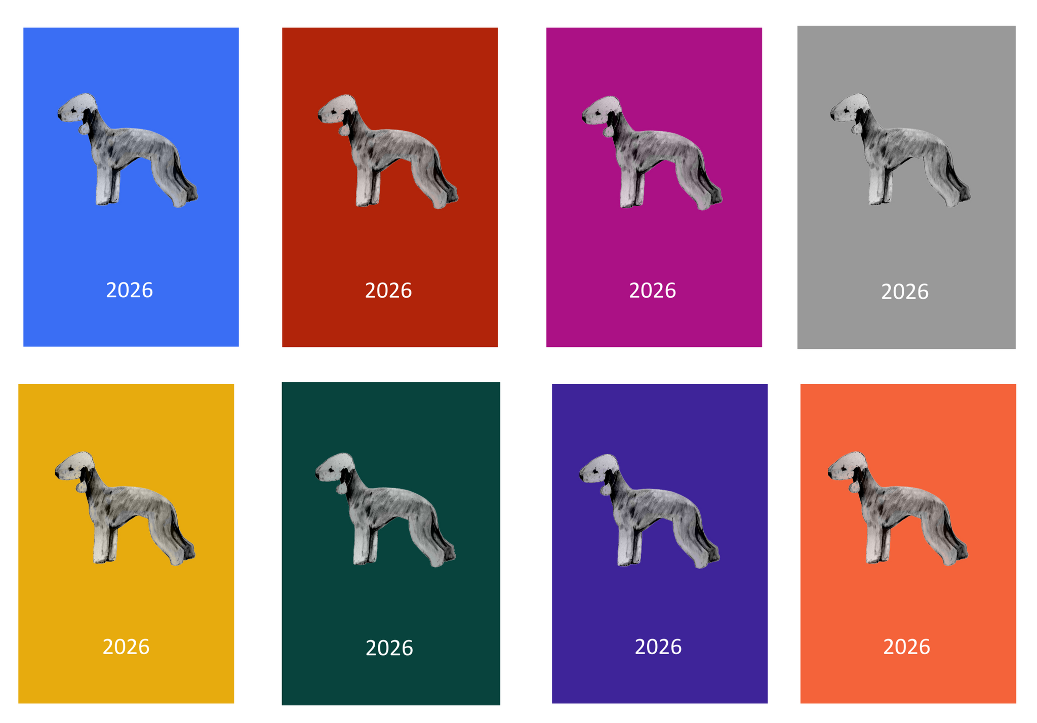Bedlington Terrier Week Per View 2026 Diary: A4, A5 or A6, Dog Show, Normal or Appointment