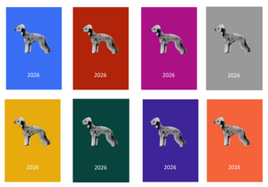 Bedlington Terrier Week Per View 2026 Diary: A4, A5 or A6, Dog Show, Normal or Appointment