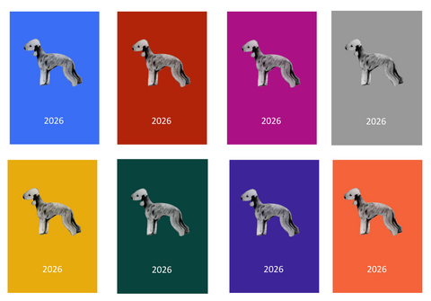 Bedlington Terrier Week Per View 2026 Diary: A4, A5 or A6, Dog Show, Normal or Appointment