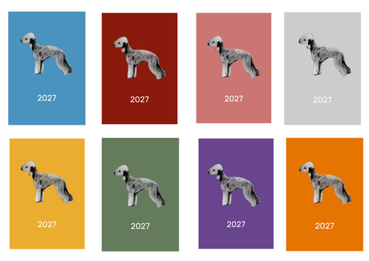 Bedlington Terrier Week Per View 2027 Diary: A4, A5 or A6, Dog Show, Normal or Appointment