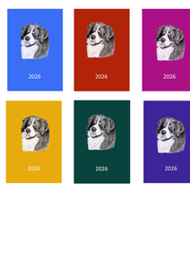 Bernese Mountain Dog Week Per View 2026 Diary: A4, A5 or A6, Dog Show, Normal or Appointment
