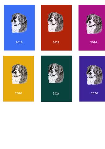Bernese Mountain Dog Week Per View 2026 Diary: A4, A5 or A6, Dog Show, Normal or Appointment