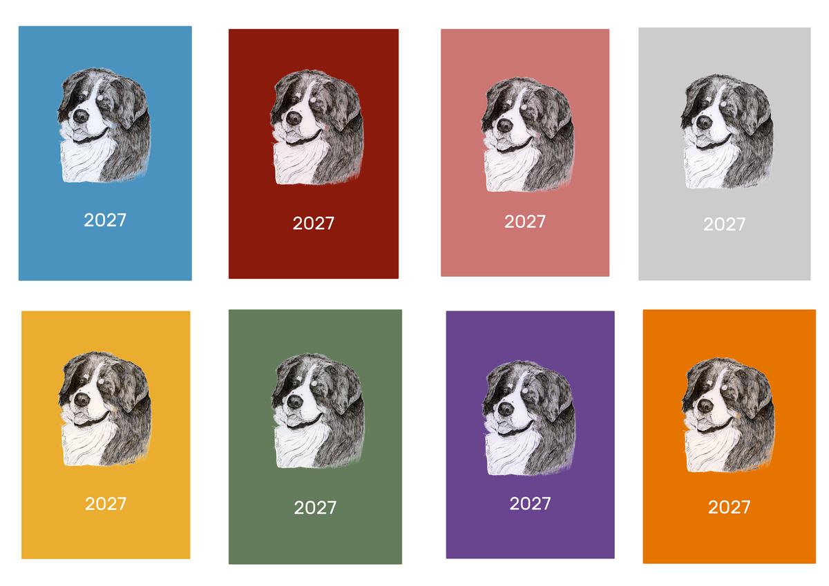 Bernese Mountain Dog Week Per View 2027 Diary: A4, A5 or A6, Dog Show, Normal or Appointment