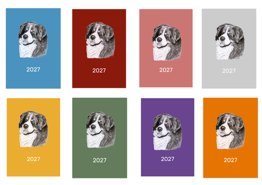 Bernese Mountain Dog Week Per View 2027 Diary: A4, A5 or A6, Dog Show, Normal or Appointment