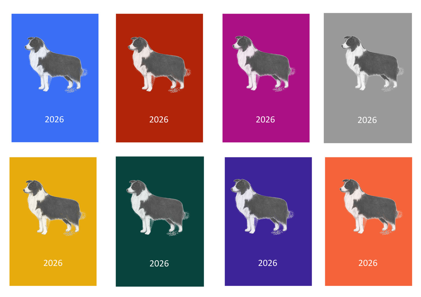 Border Collie Week Per View 2026 Diary: A4, A5 or A6, Dog Show, Normal or Appointment
