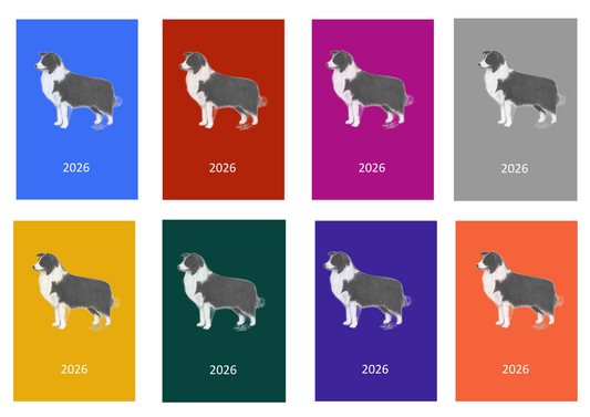 Border Collie Week Per View 2026 Diary: A4, A5 or A6, Dog Show, Normal or Appointment