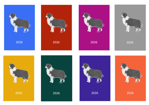 Border Collie Week Per View 2026 Diary: A4, A5 or A6, Dog Show, Normal or Appointment