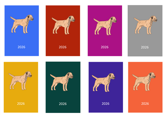 Border Terrier Week Per View 2026 Diary: A4, A5 or A6, Dog Show, Normal or Appointment (Copy)