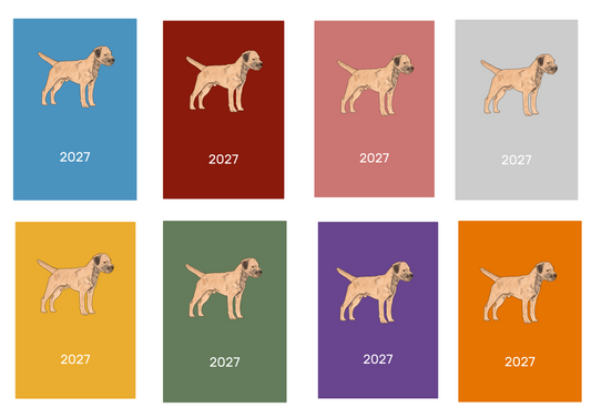 Border Terrier Week Per View 2027 Diary: A4, A5 or A6, Dog Show, Normal or Appointment (Copy)
