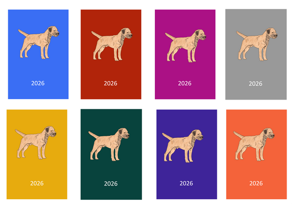 Border Terrier Week Per View 2026 Diary: A4, A5 or A6, Dog Show, Normal or Appointment (Copy)